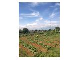 Dijual Tanah Kapling 100 m2 Dapat Dicicil Tanpa Bunga di Megamendung Bogor - Lokasi Strategis
