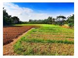 Jual Tanah di Pinggir Jalan Raya Babelan Bekasi - Luas 2.478 m2