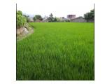 Jual tanah sawah cianjur