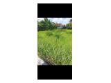 Jual Tanah di Ubud Gianyar Bali - Luas 1000 m2