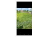 Jual Tanah di Ubud Gianyar Bali - Luas 1000 m2