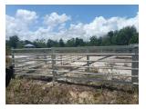 Jual Tanah di Tanjung Pandan Belitung