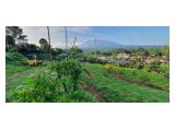 DIJUAL TANAH KAVLING COCOK UNTUK VILLA/ KOST WARUDOYONG MEGAMENDUNG PUNCAK (SHM) Tanpa perantara