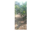 Dijual Tanah di Kampung Baru Citayam Bogor - Luas 950 m2 Rp 1,1 Milyar Nego