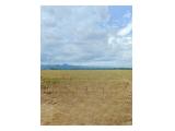 Dijual Sawah Produktif di Kota Maros Belang-belang Sulawesi Selatan