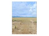 Dijual Sawah Produktif di Kota Maros Belang-belang Sulawesi Selatan