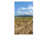Dijual Sawah Produktif di Kota Maros Belang-belang Sulawesi Selatan