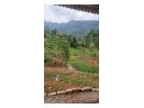 Tanah Dijual dengan Bonus Rumah (Tanpa Perantara) di Cigudeg Bogor - Luas 12.000 m2