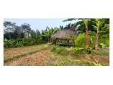 Jual Tanah dan Kebun Lengkeng di Hambaro Bogor - Luas 2000 m2