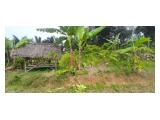 Jual Tanah dan Kebun Lengkeng di Hambaro Bogor - Luas 2000 m2