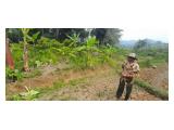 Jual Tanah dan Kebun Lengkeng di Hambaro Bogor - Luas 2000 m2