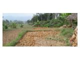 Jual Tanah dan Kebun Lengkeng di Hambaro Bogor - Luas 2000 m2