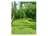Dijual Tanah Kebon Subur di Selamadeg Barat, Tabanan, Bali