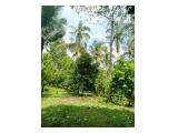 Dijual Tanah Kebon Subur di Selamadeg Barat, Tabanan, Bali